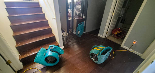 Best Carpet water damage restoration  in Clinton, OH