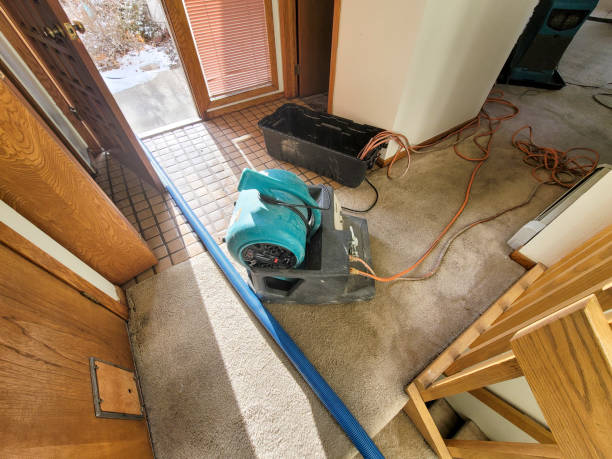 Best Emergency water extraction  in Clinton, OH