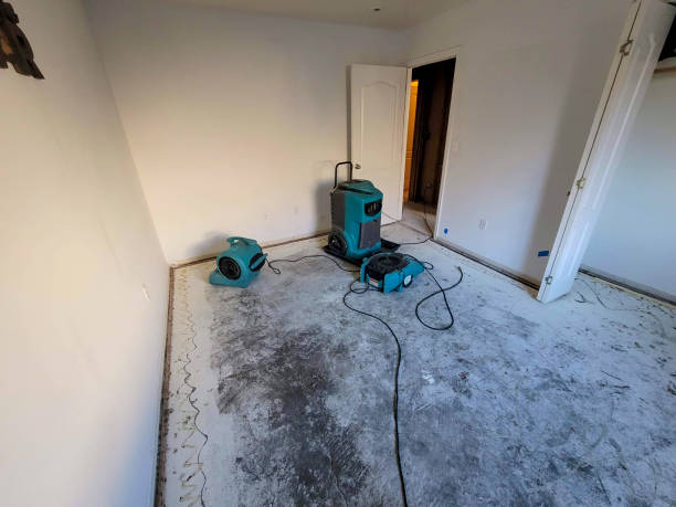 Best Professional water damage repair  in Clinton, OH