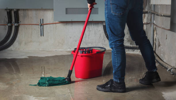 Best Flooded house restoration  in Clinton, OH