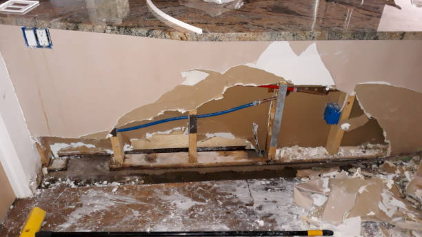 Best Ceiling water damage repair  in Clinton, OH
