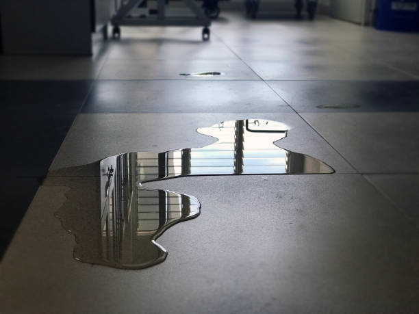 Best Water damage restoration near me  in Clinton, OH