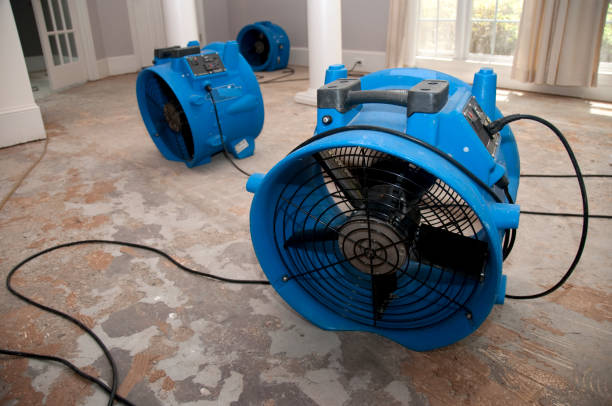 Water damage restoration mold remediation in Clinton, OH