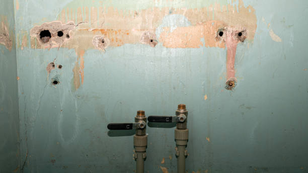 Best Water damage restoration mold remediation  in Clinton, OH