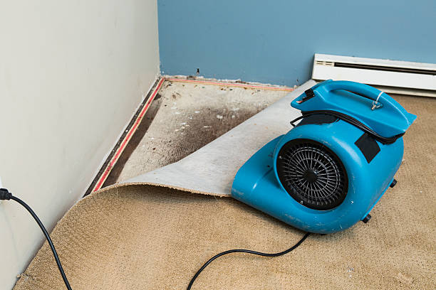 Best Water damage restoration process  in Clinton, OH